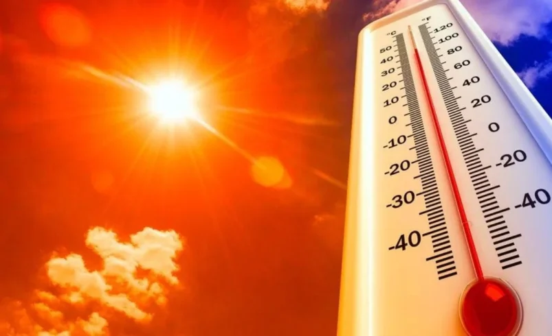 LA CANÍCULA 2024: PREPARÁNDONOS PARA EL CALOR EXTREMO