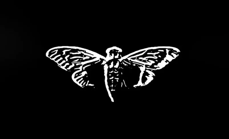 CICADA 3301 EL MISTERIOSO PUZZLE QUE DESAFÍA A LOS GENIOS DEL MUNDO.