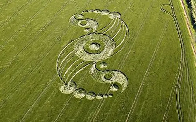 El sonido inaudible para los humanos